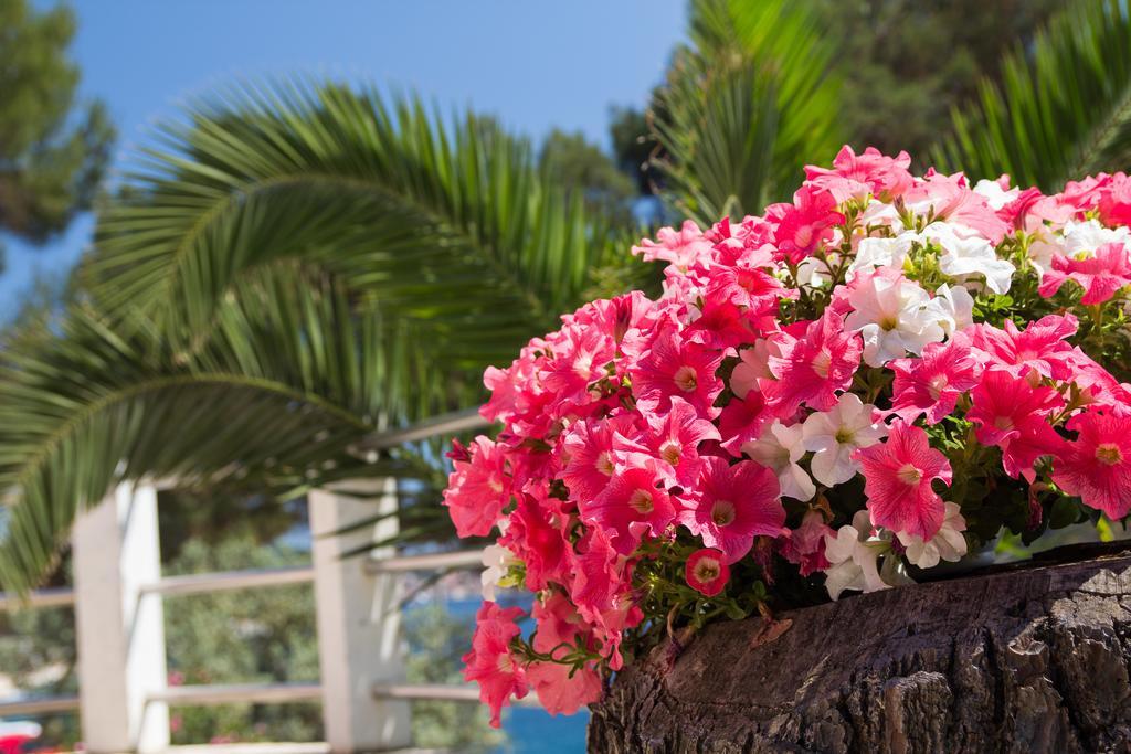 Apartments Villa Julija Mali Lošinj Екстериор снимка
